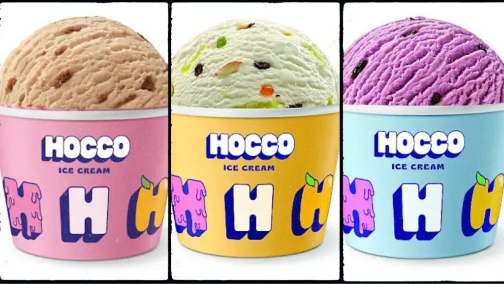 Ahmedabad Based Hocco Ice cream product varieties