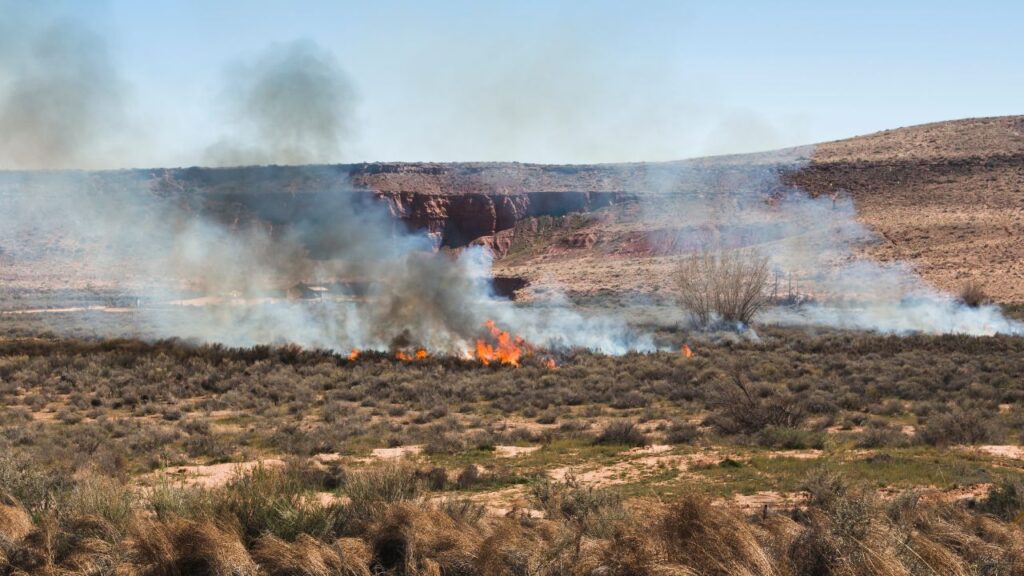 Crop Burning pollution